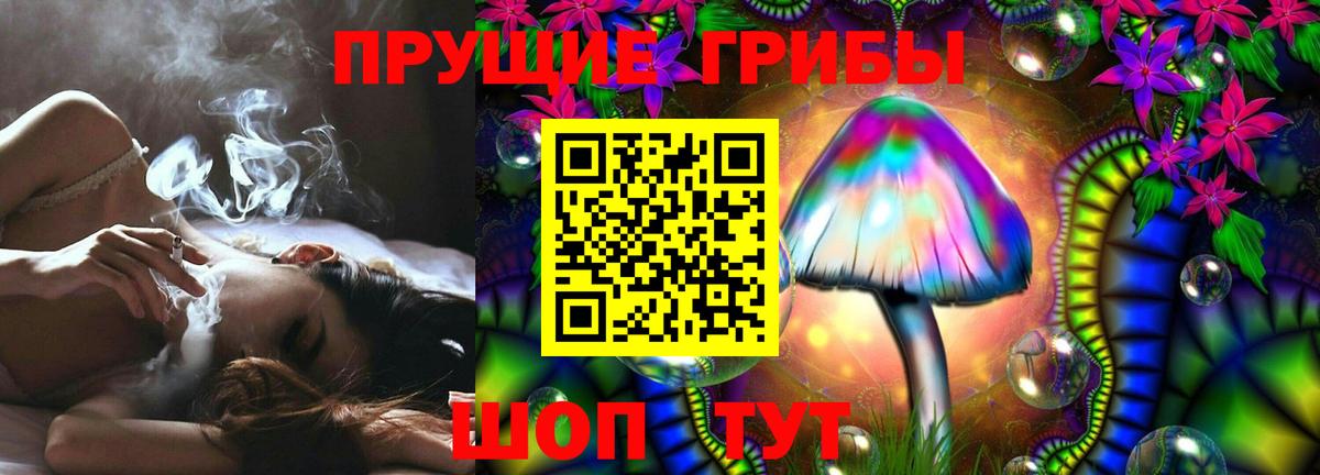 Псилоцибиновые грибы Psilocybe  Вход с VPN  Луга 