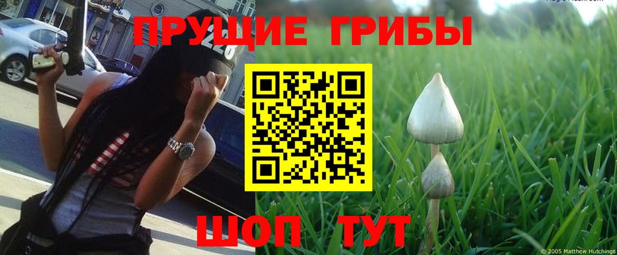 Мефедрон   ГАШИШ  ГАШИШ  Луга  Вход с VPN 